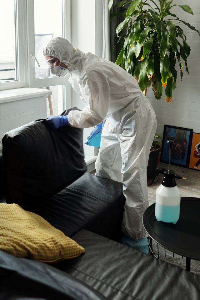 Sofa Cleaning