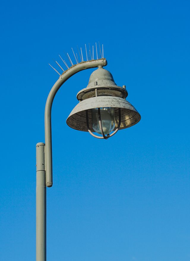 Bird Spikes in lamp post